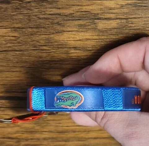 Florida Gators Fan Bracelets (2 Pack) Cover