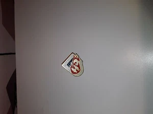 PIN'S PINS  gala des orphelins pompiers demain sans toi  - Imagen 1 de 1