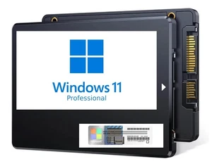 SSD Con Windows 11 Pro, 256GB, Preinstallato + Licenza - Foto 1 di 1