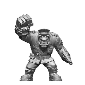 general orc - Picture 1 of 1