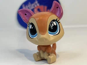 AUDRA SHELTER ARMADILLO #4100 - Auténtica tienda de mascotas Littlest - Hasbro LPS - Imagen 1 de 4