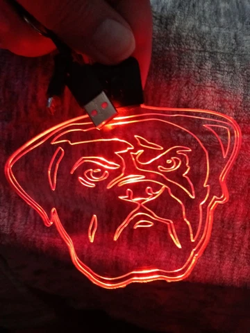 CLEVELAND BROWNS DOG FACE  LIGHTED NECKLACES WITH BROWNS LANYARD Cover