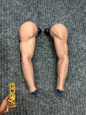 1/6 Hot Toys MMS754 Deadpool & Wolverine Hugh Jackman Muscular Arm for Figure - Image 1 of 4