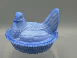 boyd glas Delphinium Henne auf Nest. Rarität selten  - Bild 1 von 7