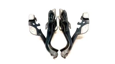 10-19 JAGUAR X351 XJ XJL XJR XJR575 JUEGO DE SOPORTE DE BISAGRA DE CAPÓ IZQUIERDA DERECHA OEM 031225 Foto 1 de 4