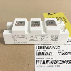 Módulo de fuente de alimentación One For Semikron nuevo SKM100GB12V envío gratuito - Imagen 1 de 4