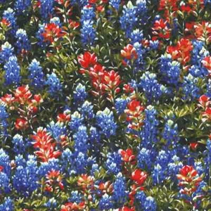 Texas Wildflowers Bluebonnet Indian Paintbrush Michael Miller Fabric FQ - 1/4 YD - Picture 1 of 6