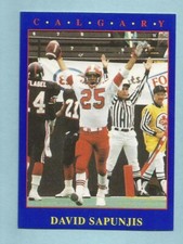 1990 JOGO CFL Football David Sapunjis #208 Calgary Stampeders NM/MT
