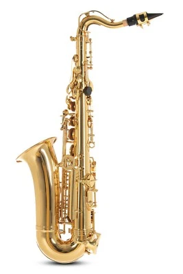 PURE GEWA Eb-Alt Kinder Saxophon Roy Benson AS-201 - Bild 1 von 4