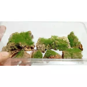 Korkfelsen mit realistisch grünem Gras für Modellbau & Eisenbahn Landschaft - Bild 1 von 2