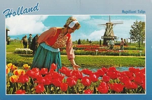 Postal vintage 1992 - Holland Michigan MI Magnificent Tulips - PUBLICADA Y USADA - Imagen 1 de 1