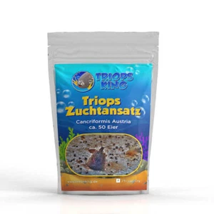 Triops Cancriformis Urzeitkrebse Zuchtansatz mit Triopseiern im Sand gemischt - Bild 1 von 43
