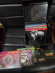 Weird n' Wild Creatures Trading Cards - Lot Wissenskarten plus Box Dinosaurier - Bild 1 von 15