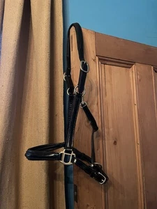 LEATHER HEADCOLLAR BLACK Full Padded Patent Silver Fittings - Picture 1 of 5