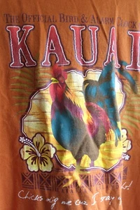 Hanes Kawai Rooster T Shirt Mens 2XL Rust Cotton Knit Hawaii's Alarm Clock Bird - Picture 1 of 5