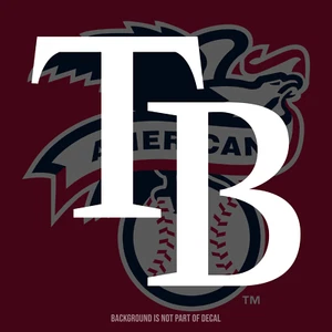 Tampa Bay Rays Vinyl Decal Sticker - Picture 1 of 3