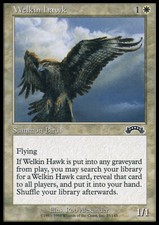 Magic the Gathering MTG Welkin Hawk (25) Exodus   LP