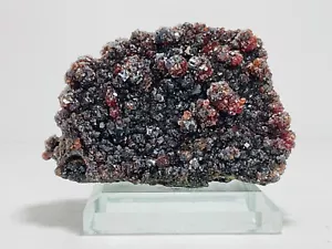 Granat Granat Cluster Liangcheng Mine Innere Mongolei China-Cabinet Peace 973 ct - Bild 1 von 12