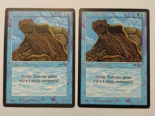 MTG Magic Arabian Nights 2x Giant Tortoise Light AND Dark