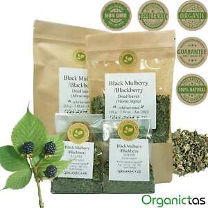 Organic Black Mulberry Leaf Tea (Morus Nigra) Wild Harvest Premium Quality
