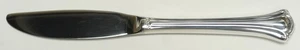 International Silver Serenity  Hollow Handle Master Butter Kn 258289 - Picture 1 of 1