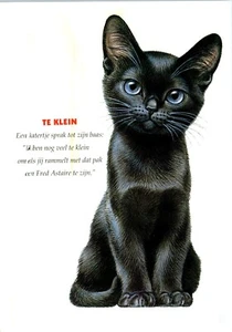 To Small, A Little Tom... Art Postcard Peter Warner From Perfect Cats 1991 - Picture 1 of 2