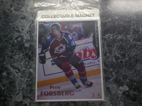 1 colorado avalanche 8in peter forsberg magnet/by maggers Cover