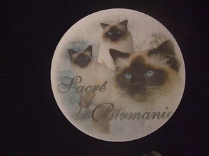 Tapis de souris - MOTIF - CHAT SACRE DE BIRMANIE - Picture 1 of 1