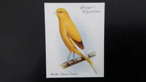J. PLAYER 1935. AVAIRY AND CAGE BIRDS. N0 5. BORDER FANCY CANARY. - Picture 1 of 2
