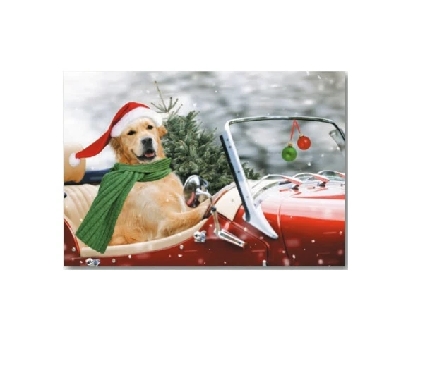 Fun Lab Dog Boxed Christmas Cards (Pack of 10) Funny Car Cute Labrador - Image 1 of 1