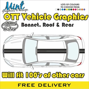 LARGE CAR VIPER BONNET ROOF SPORT Stripes Decals Stickers Graphics NO P&P 0TT L - Picture 1 of 4