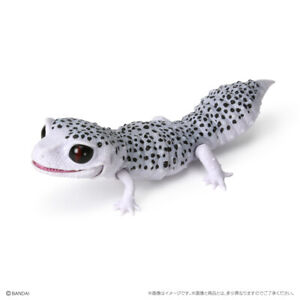 Bandai Ikimo encyclopedia Repti BEST Leopa & Cress Gecko #02 Leopard Gecko