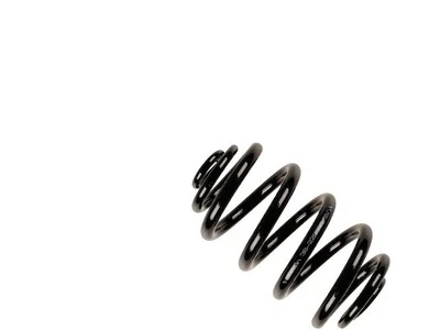 Muelle helicoidal trasero Bilstein 84476RVMS 2007 2005 2008 2006 para BMW X3 2004-2010 Foto 1 de 2