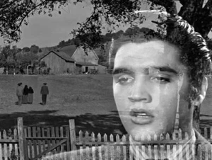 ELVIS PRESLEY FRIDGE MAGNET                            561 - Picture 1 of 1