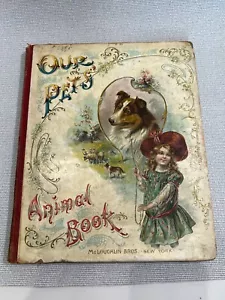 Unsere Haustiere Tierbuch McLoughlin Brothers New York 1908 - Bild 1 von 5