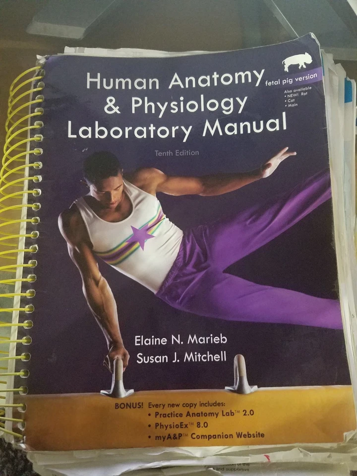 Human Anatomy and Physiology Laboratory Manual, Fetal Pig Version (Spiral Bound) - Image 1 of 1