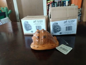 Set Of (2) Conch Sea Shell Fish Tank Decorations - Picture 1 of 3