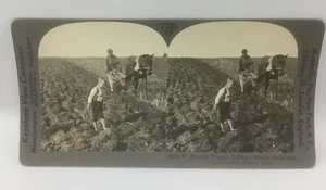 Keystone Stereoview-Campo de labranza agricultor ruso con primitivo nativo Plo-T395 - Imagen 1 de 2