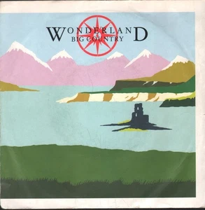 Big Country Wonderland 7" vinyl UK Phonogram 1984 paper label design - pic - Picture 1 of 4