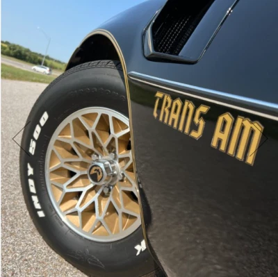 Pontiac Trans Am 1976-78 kit de calcomanías a rayas 'edición especial' solamente Foto 1 de 4