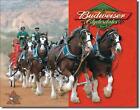 Pferde Kutschen Gespann USA Budweiser Bier Metall Schild Deko Plakat