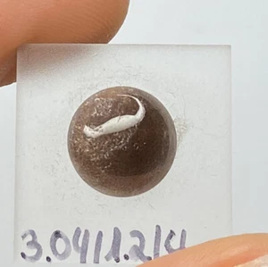 FELDSPAT  (3.04 cts) Feldspar Freeform , Tanzania - Picture 1 of 1