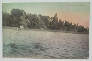 Wauconda IL Illinois Sennot Beach Scene Vintage 1909 Postcard C2 - Picture 1 of 2