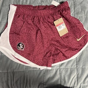 Florida State Seminoles Nike Dri-Tide Running Training Shorts Women’s Sz L - Picture 1 of 3