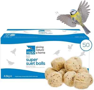 Fat Balls for Wild Birds, High Energy Food, Suet 50 count (Pack of 1) - Picture 1 of 7