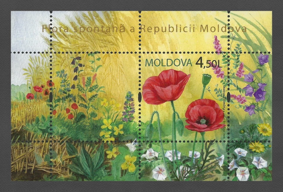 Moldova 2009 Flowers, Poppy MNH block - Image 1 of 1