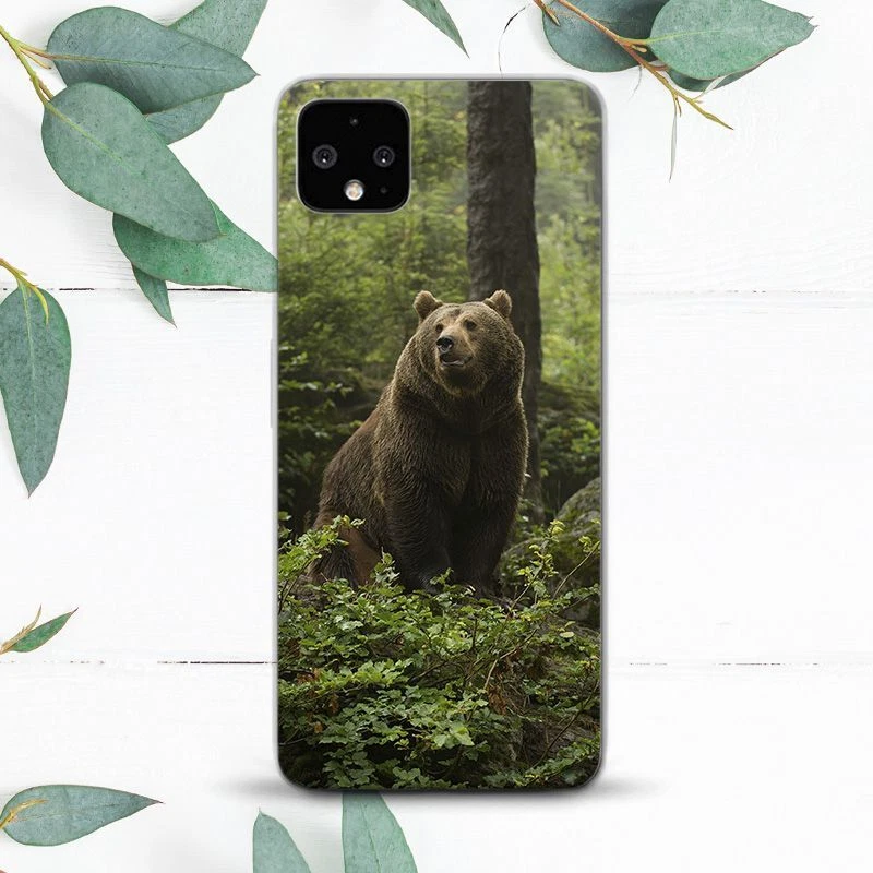 Cute Wild Bear Nature Animal Case For Google Pixel 2 3 3a 4 4a 5 6 7 8 XL - Image 1 of 1