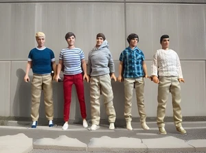 Hasbro One Direction Doll Set Harry Styles Niall Horan Liam Payne Zayn Louis - Picture 1 of 8