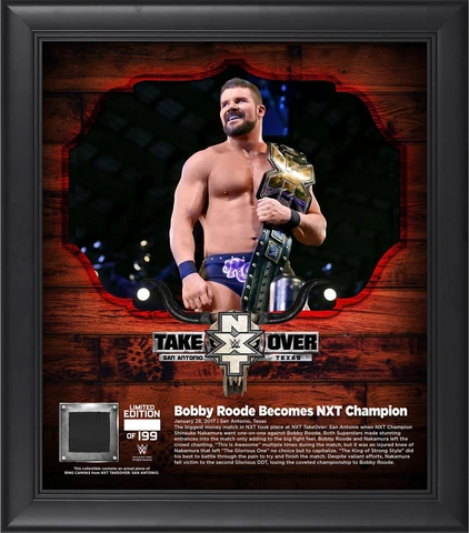 Robert Roode World Wrestling Entertainment Framed 15" x 17" NXT Cover