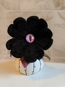 Black Peeping Poppy with Purple Eye Halloween Succulent Hyde & EEK Boutique 2020 - Picture 1 of 1